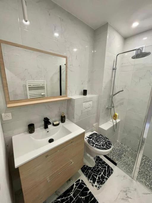 Joli T2 / Croisette Apartment
